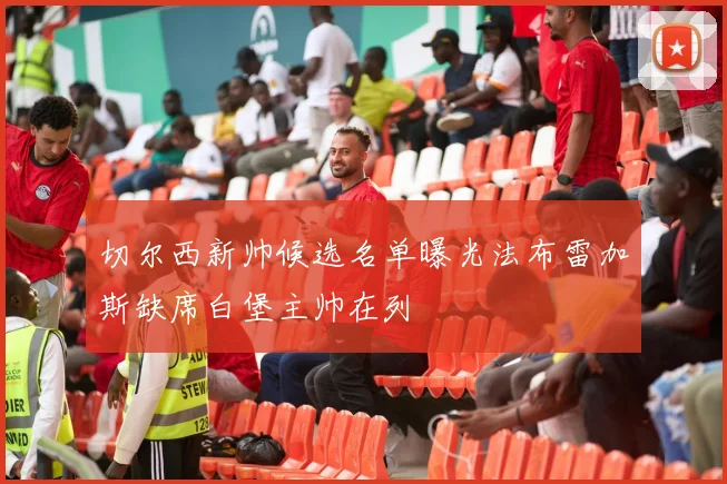 切尔西新帅候选名单曝光法布雷加斯缺席白堡主帅在列