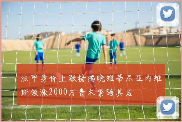 法甲身价上涨榜揭晓维蒂尼亚内维斯领涨2000万青木紧随其后