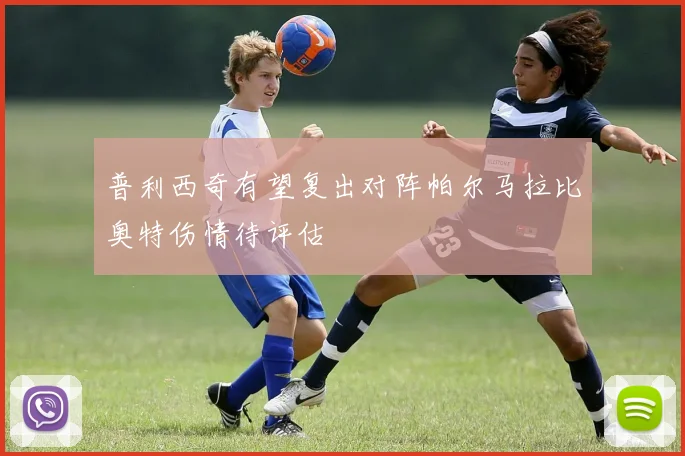 普利西奇有望复出对阵帕尔马拉比奥特伤情待评估