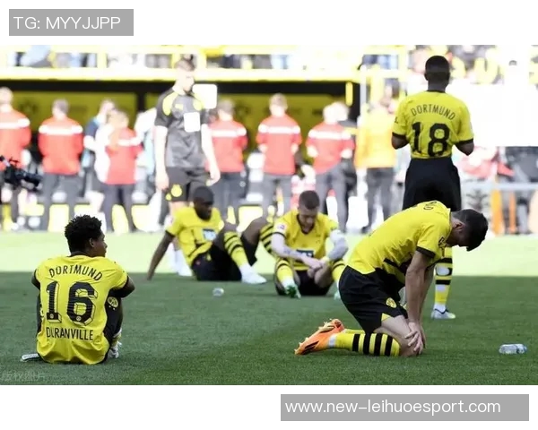 斯文松谈加盟多特：这是我职业生涯中的绝佳机会与完美契合